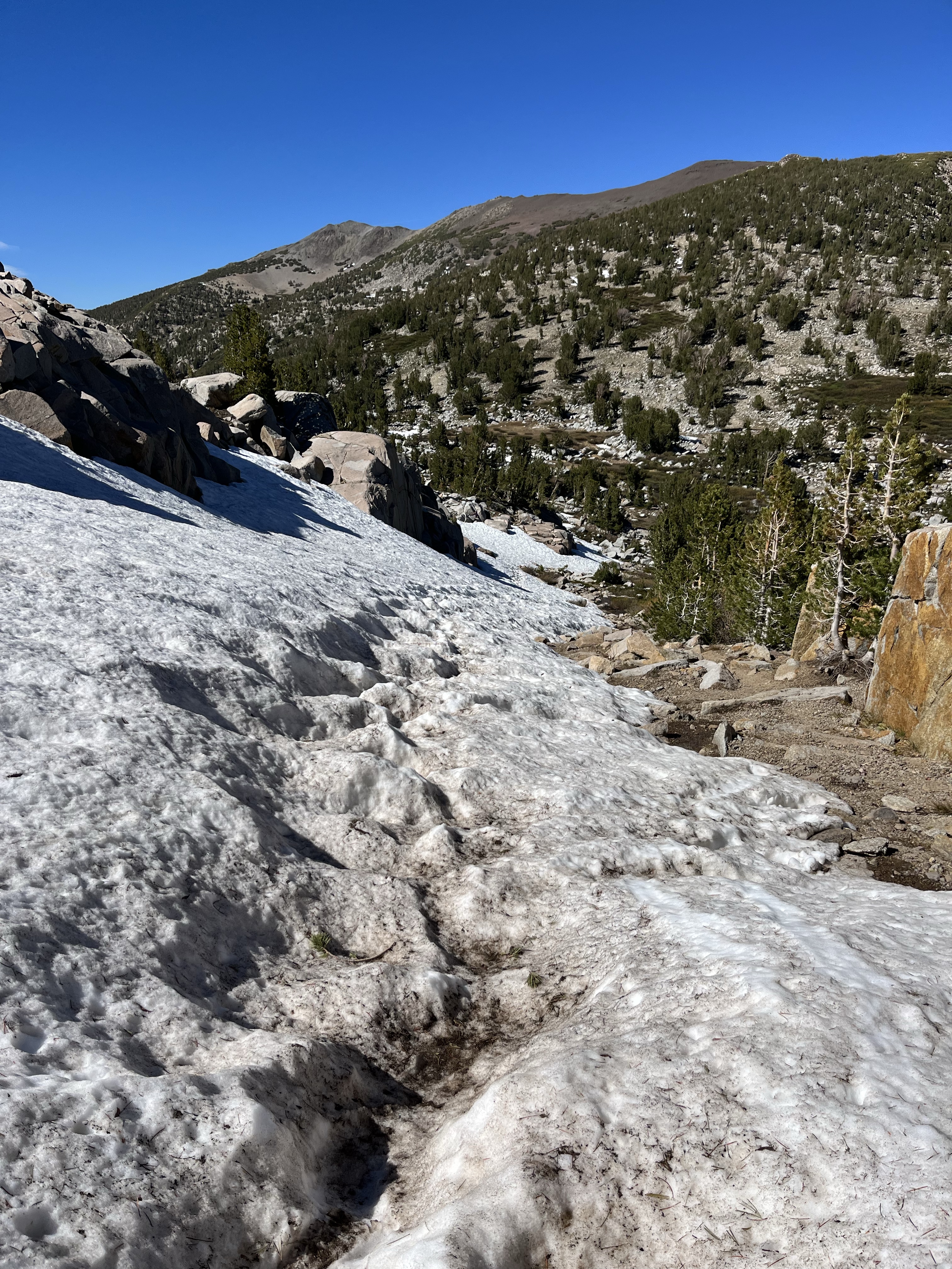 PCT Day 75 – Back on Trail