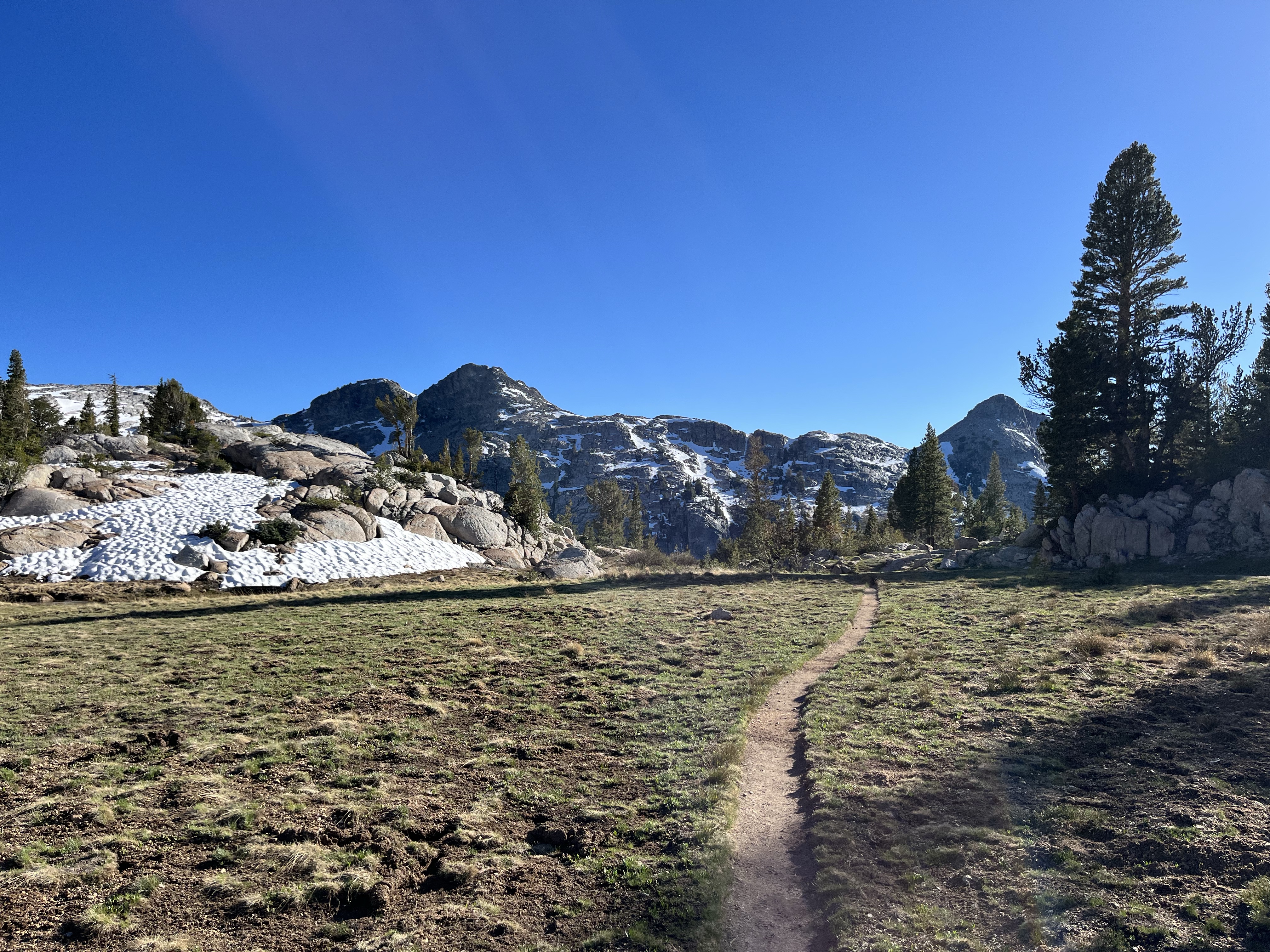 PCT Day 70 – Mosquitoville