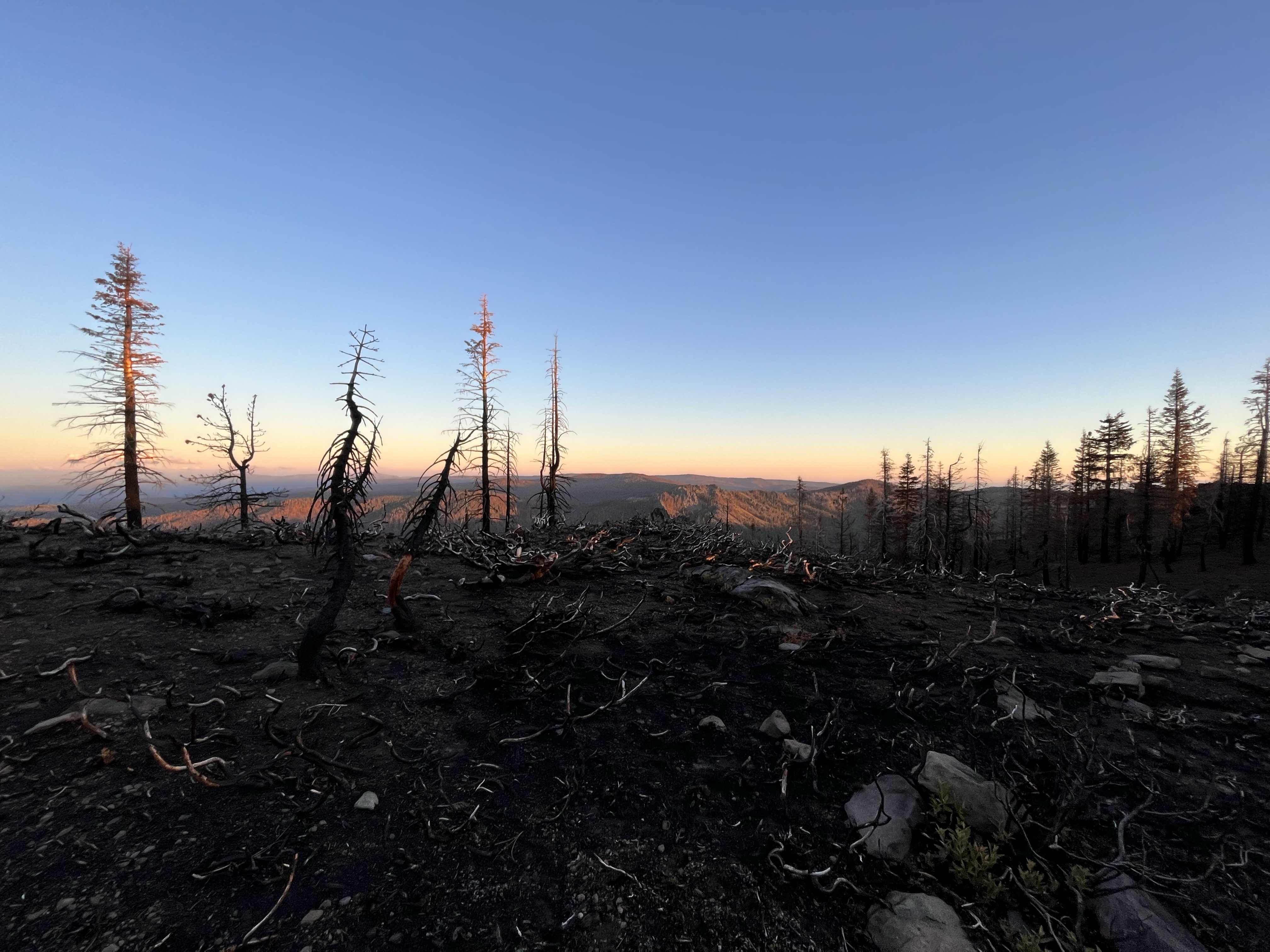 PCT Day 95 – The Hawk