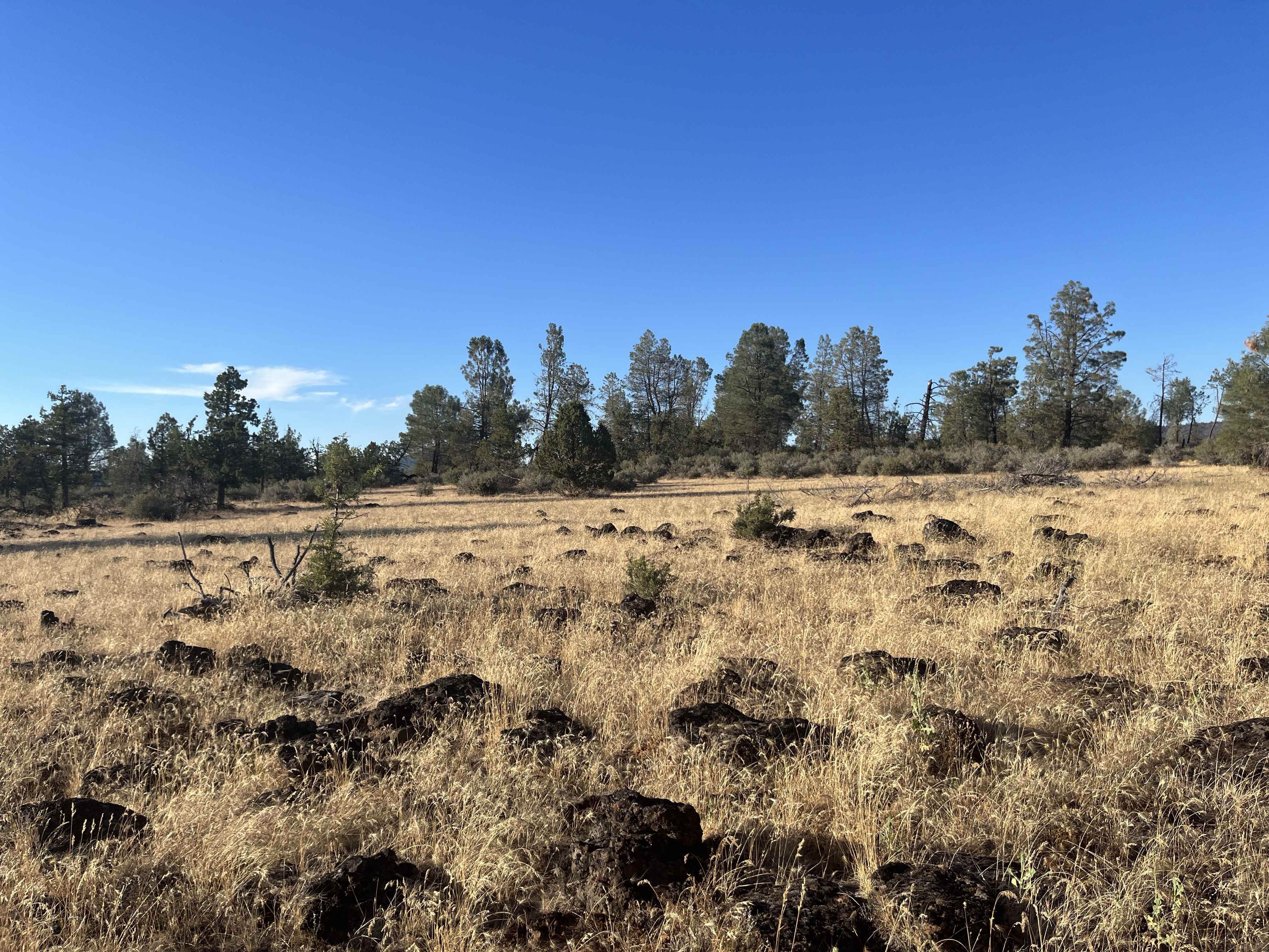 PCT Day 99 – Hat Creek Rim